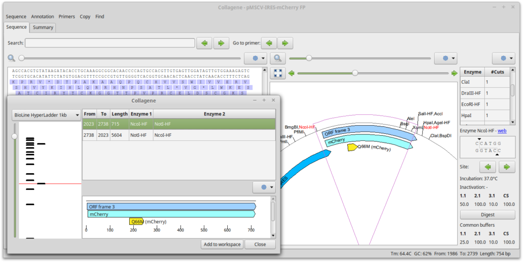 Collagene screenshot: restriction-digest simulation