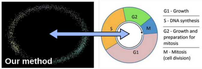 Schematic of extracting knowledge from omics data via gene-regulatory-network and latent-space models